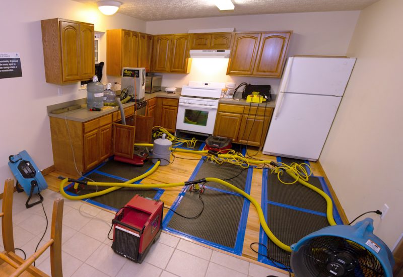 6818ca8b5a39f8bf13490742_6493fe4063b5e98441a7afd8_6272bc462493624f3277aaf7_Flood2520Kitchen2520JPG20copy